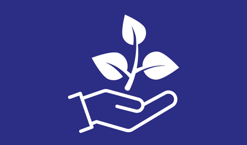 Environmental image