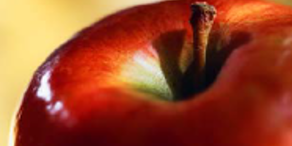 Free school meals image